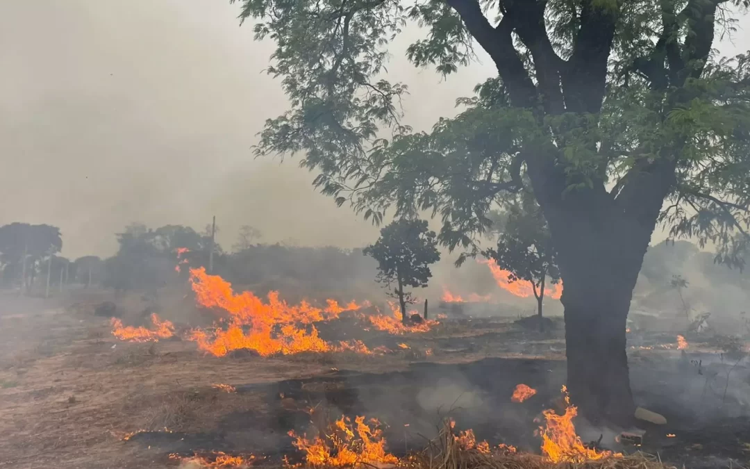 ‘Estamos morrendo em fumaça’: Incêndio destrói vegetação e invade propriedade em Campo Grande