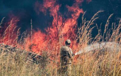 Com mais de 4 mil focos ativos de incêndio, agosto fechou como o mês mais crítico de 2024