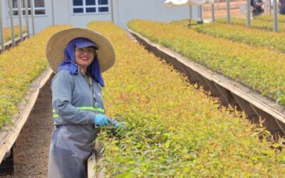 Mulheres ocupam 85% das vagas em viveiro de mudas e mostram a força da inserção no mercado de trabalho