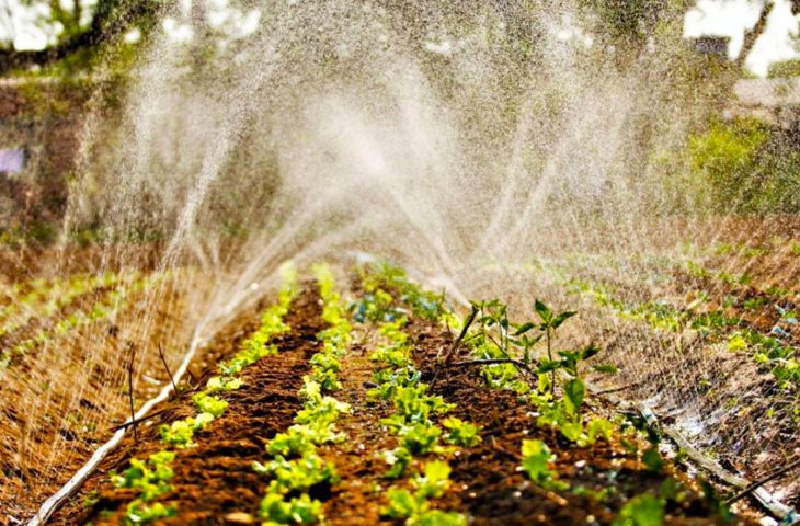 Via Fundect e Semadesc, Governo investe mais de R$ 5 milhões em Programa de Residência Agrária