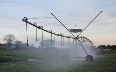 Primeiro polo de agricultura irrigada de MS abrange 26 municípios nas regiões Centro e Sul