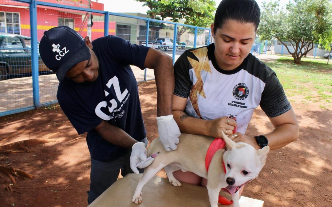 Mais de 1.500 cães e gatos são vacinados contra a raiva neste feriado; campanha segue até o fim do ano na CCZ