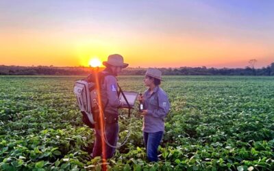 Sustentabilidade: florestas plantadas em MS contribuem para a meta de carbono neutro