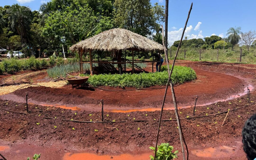 Escola rural da Reme adota horta em mandala para inovar o aprendizado dos alunos