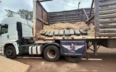 Polícia apreende R$ 5,5 milhões em maconha dentro de carga de bagaço