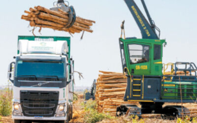 Diversificação econômica impulsiona PIB apesar de queda da agropecuária