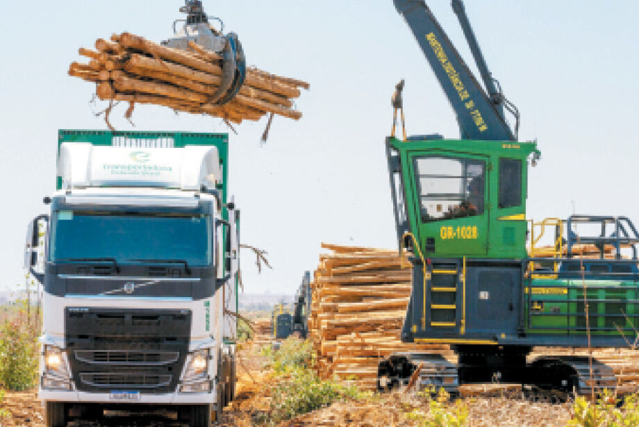 Diversificação econômica impulsiona PIB apesar de queda da agropecuária