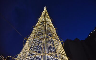 Campo Grande ilumina a 14 de Julho e abre programação festiva que terá Cidade do Natal com Parada e as Renas e muita diversão