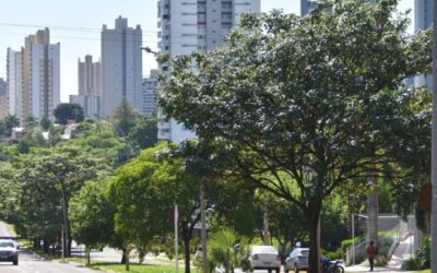 Campo Grande é a terceira cidade mais segura em ranking nacional