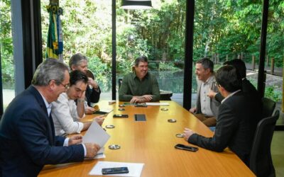 Com setor da citricultura em expansão, mais uma empresa vai investir em MS