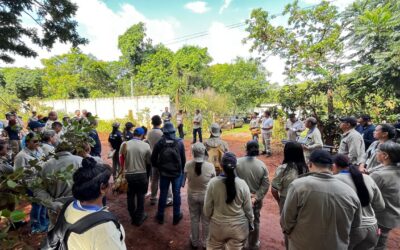 Com a chegada do verão, Prefeitura intensifica ações contra a dengue e convoca população para participar do combate