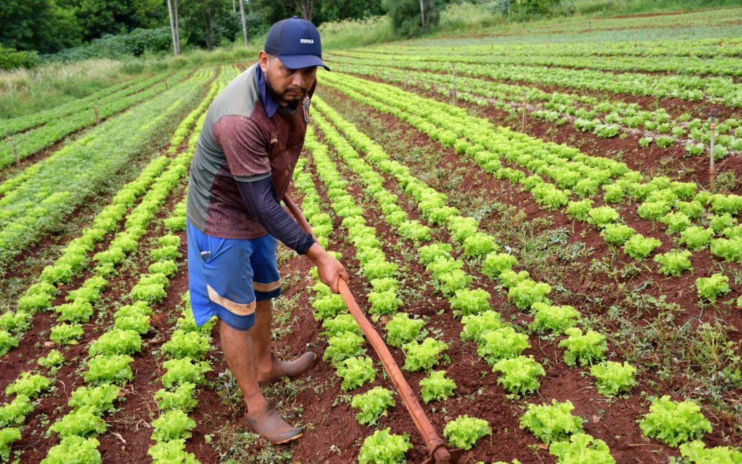 Campo Grande apresenta Hortas Urbanas e App de Conexão Produtor-Consumidor à Cônsul da Alemanha