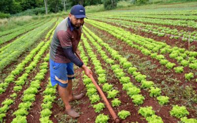 Campo Grande apresenta Hortas Urbanas e App de Conexão Produtor-Consumidor à Cônsul da Alemanha