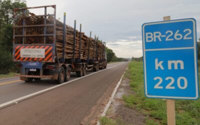 Novos caminhos: em ritmo acelerado de crescimento, MS atrai cada vez mais trabalhadores de outras regiões do País