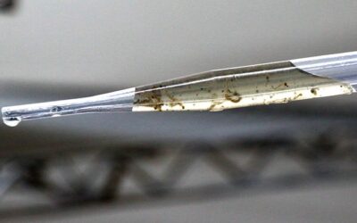 Com ações preventivas, MS participa da instalação do Centro de Operações de Emergência para Dengue e outras Arboviroses