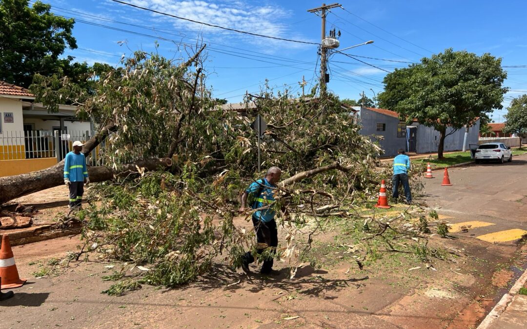 Prefeitura atua para atender população e mitigar danos causados pelas chuvas em Campo Grande