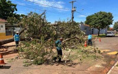 Prefeitura atua para atender população e mitigar danos causados pelas chuvas em Campo Grande