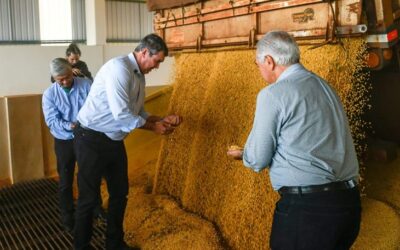 Capacidade de processar soja em MS crescerá 20% com novo empreendimento em Maracaju