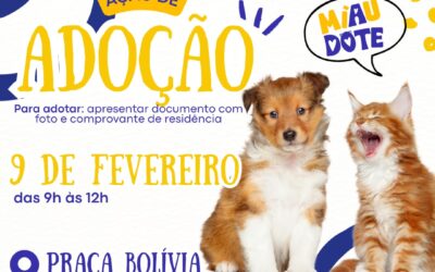 Primeira Feira de Adoção de 2025 da SUBEA acontece na Praça da Bolívia