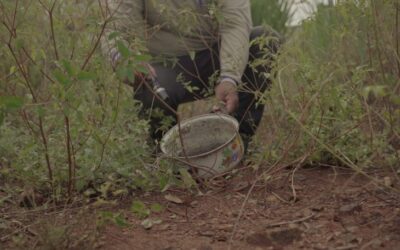 Mato Grosso do Sul avança no combate às arboviroses e projeta 7,6 milhões de visitas em 2025