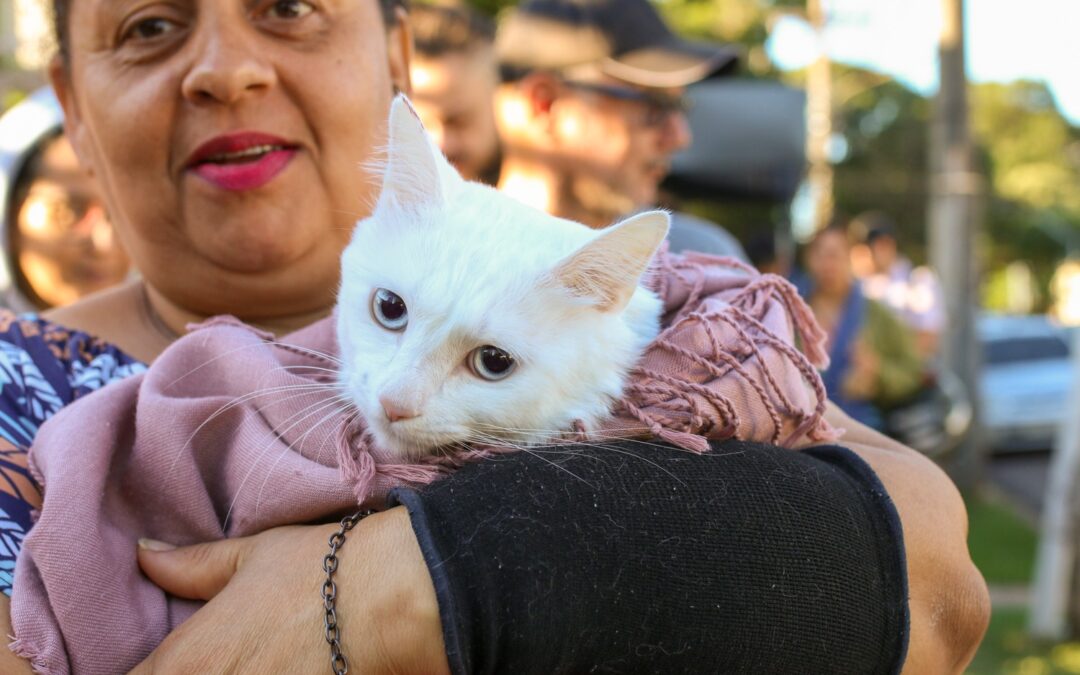 20 ANOS: CCZ celebra mais de 103 mil animais castrados e reforça compromisso com a saúde pública