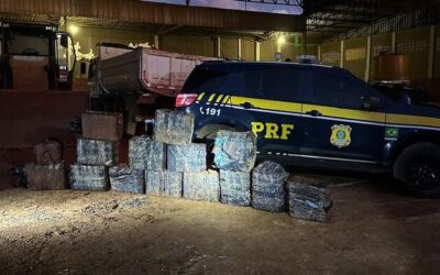 Cães rastreiam 452 quilos de cocaína em caminhão de minério no MS