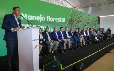 Com ambiente positivo em MS, fábrica de celulose vai gerar 14 mil empregos e levar ‘boom’ econômico a Inocência