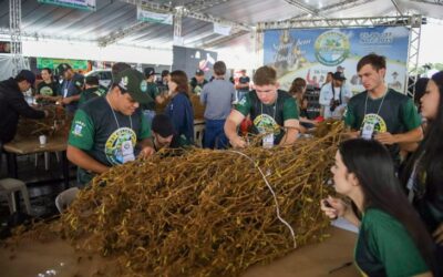 Laguna Carapã realiza o 25º Concurso Pé de Soja e comemora investimentos em infraestrutura
