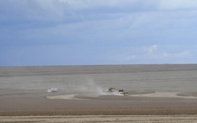 MS deverá produzir 14,6 milhões de toneladas de soja, volume 11,4% superior ao da safra passada