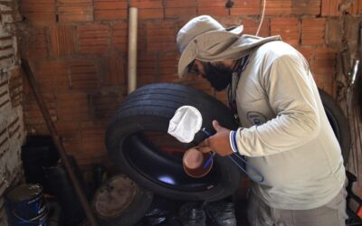 Dengue recua em MS, mas avanço da Chikungunya acende alerta de que cuidados precisam ser mantidos