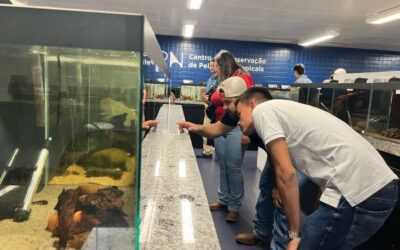 Bioparque promove turismo científico e experiência profissional para acadêmicos durante visitas técnicas