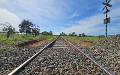 ANTT aprova proposta de construção de ramal ferroviário para escoar celulose pela Malha Norte