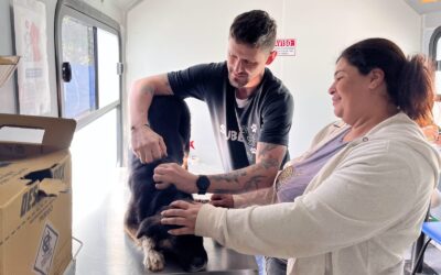 Serviço itinerante da SUBEA garante acesso gratuito à saúde animal e reforça compromisso da Prefeitura com os tutores