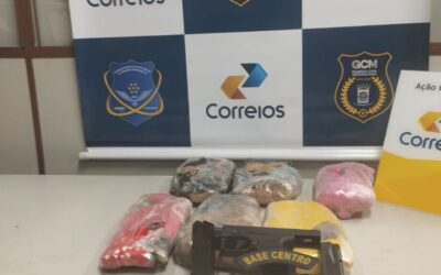 Encomenda com pistola e entorpecente é interceptada nos Correios