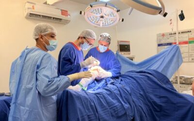 Governo de MS ultrapassa 2,6 mil cirurgias ortopédicas realizadas pelo Programa MS Saúde