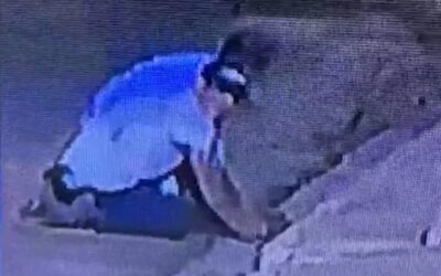 Dois homens imobilizam e matam pitbull asfixiado no meio da rua em MS