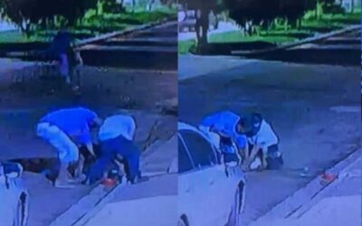 Dupla que asfixiou pitbull até a morte alega legítima defesa após ataque
