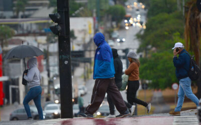 MS terá frio mais intenso do ano na próxima semana, com chuva e geada