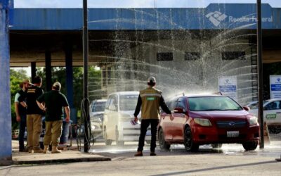 Governo de MS e Codesul discutem articulação conjunta para prevenção da gripe aviária