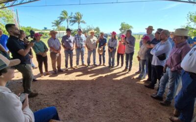 Governo do Estado implanta unidade experimental da Rota Bioceânica em Porto Murtinho