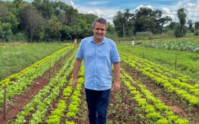 Landmark propõe criação de frente parlamentar pela regularização de hortas