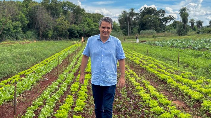 Landmark propõe criação de frente parlamentar pela regularização de hortas