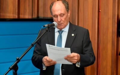 Matéria veda plantio de árvore letal a beija-flores, abelhas e pequenos insetos