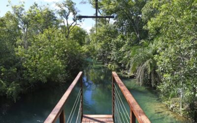 Com alta de 11,7%, turismo cresce em Mato Grosso do Sul e impulsiona a economia regional