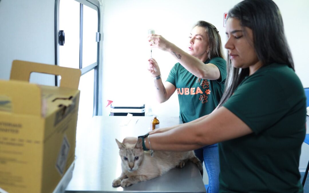 Consultório Móvel Veterinário leva atendimento para diversos bairros de Campo Grande no mês de julho