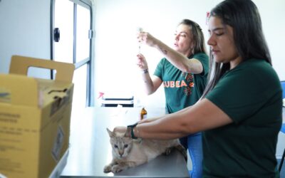 Consultório Móvel Veterinário leva atendimento para diversos bairros de Campo Grande no mês de julho