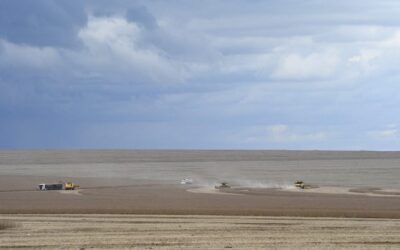 Motor de MS: agronegócio deve puxar PIB do Estado, com previsão de crescer 5,5% neste ano