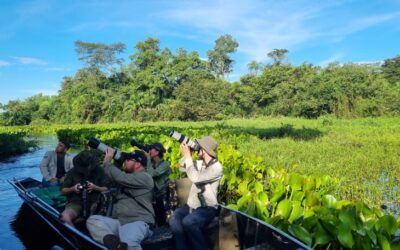 Famtour internacional destaca o Pantanal de MS como destino estratégico para observação de aves