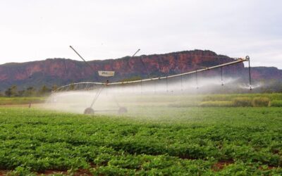 Pantanal Tech MS se consolida como vitrine do agro sustentável, fomento tecnológico e economia criativa