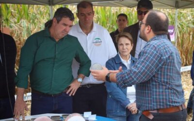 Governo de MS discute novas tecnologias e modelos para impulsionar produção de milho